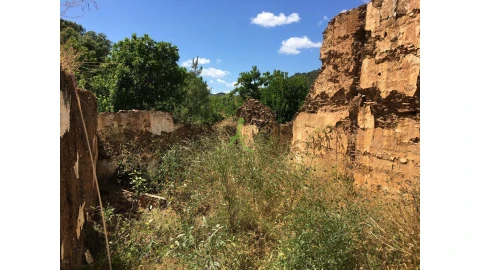 Terreno para Venda em São Bartolomeu de Messines