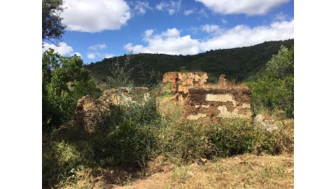 Terreno para Venda em São Bartolomeu de Messines