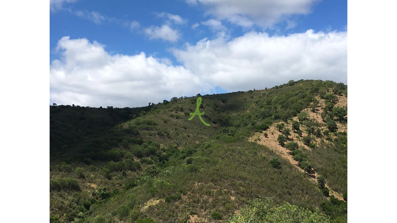 Terreno para Venda em São Bartolomeu de Messines Foto 1