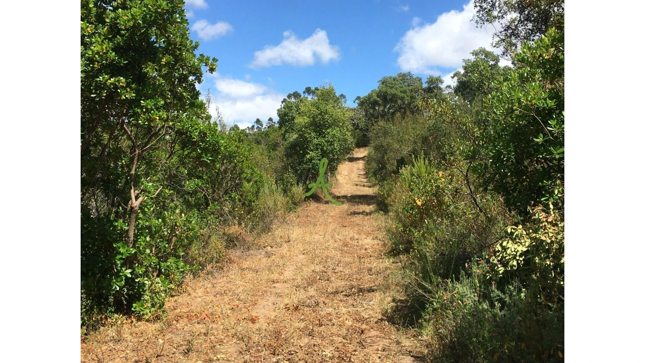 Terreno para Venda em São Bartolomeu de Messines Foto 25