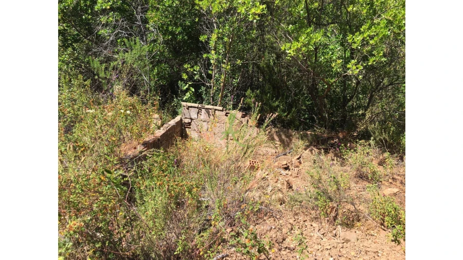 Terreno para Venda em São Bartolomeu de Messines Foto 5
