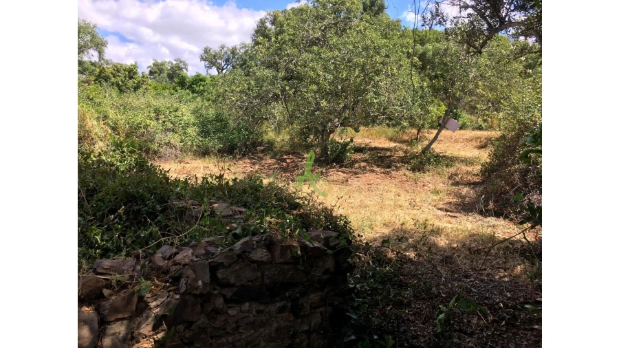 Terreno para Venda em São Bartolomeu de Messines Foto 12