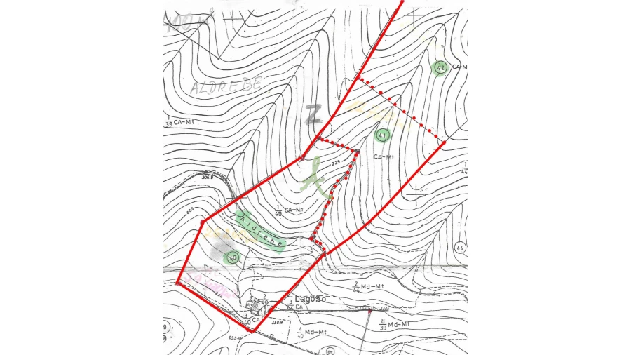 Terreno para Venda em São Bartolomeu de Messines Foto 29