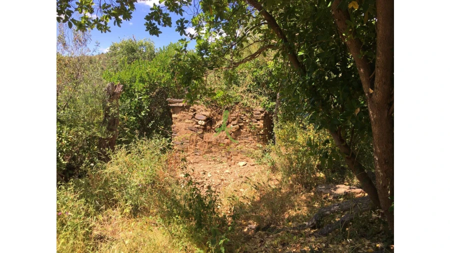 Terreno para Venda em São Bartolomeu de Messines Foto 20