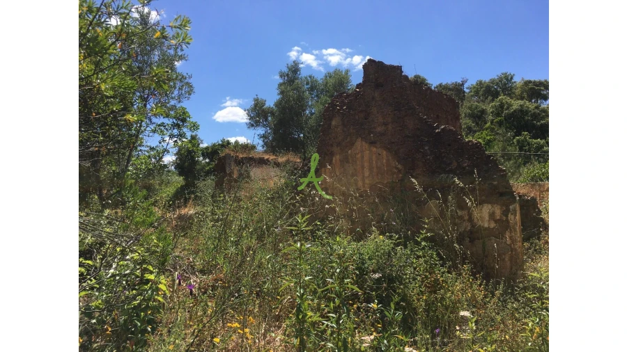 Terreno para Venda em São Bartolomeu de Messines Foto 19