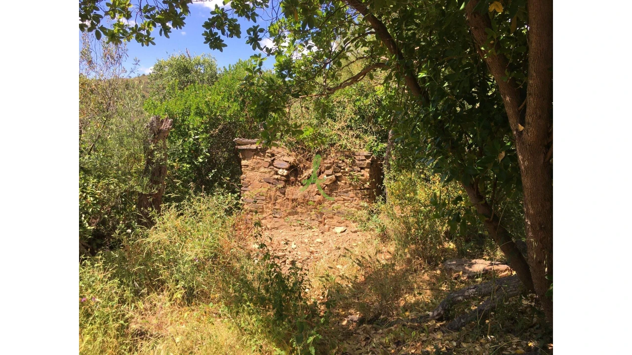 Terreno para Venda em São Bartolomeu de Messines Foto 20