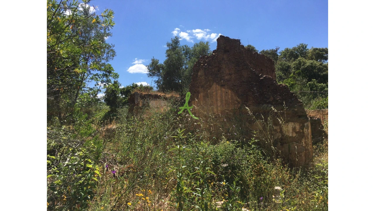 Terreno para Venda em São Bartolomeu de Messines Foto 19