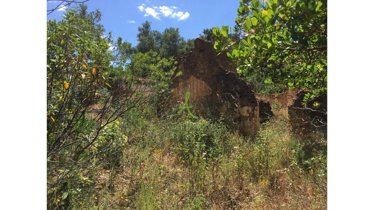 Terreno para Venda em São Bartolomeu de Messines Foto 7