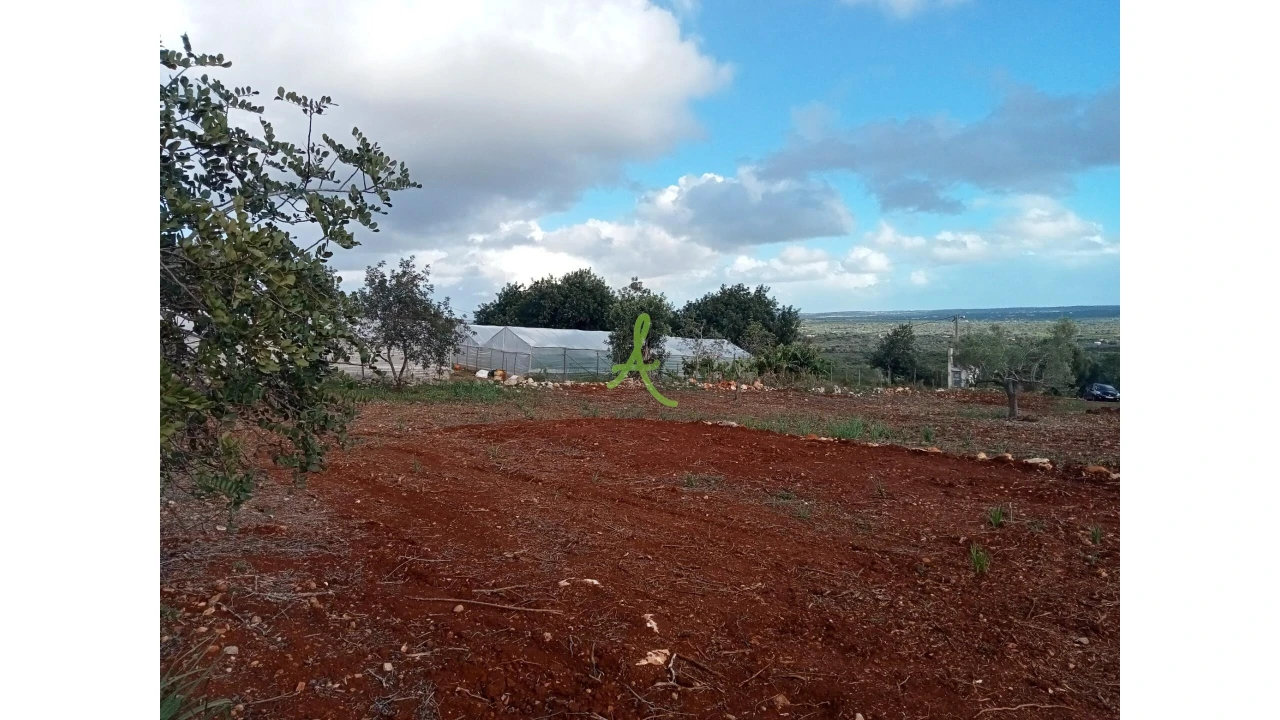 Terreno para Venda em São Bartolomeu de Messines Foto 2
