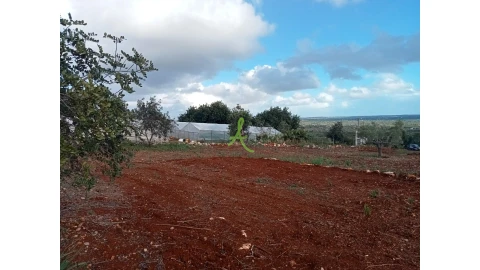 Terreno para Venda em São Bartolomeu de Messines