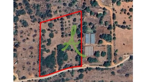 Terreno para Venda em São Bartolomeu de Messines
