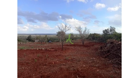 Terreno para Venda em São Bartolomeu de Messines