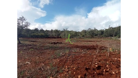 Terreno para Venda em São Bartolomeu de Messines