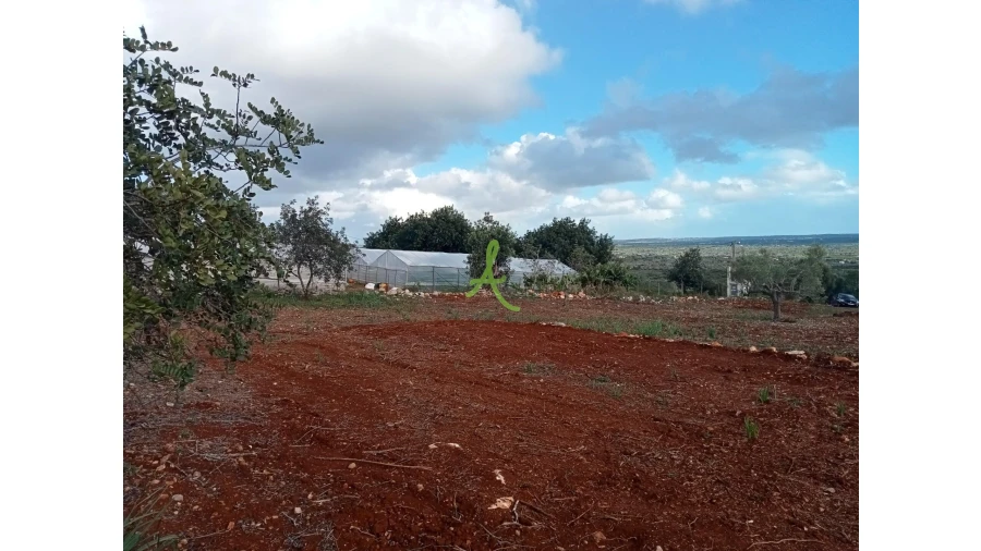 Terreno para Venda em São Bartolomeu de Messines Foto 2