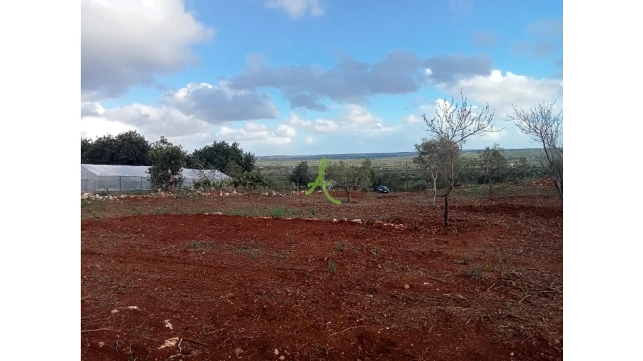 Terreno para Venda em São Bartolomeu de Messines Foto 4