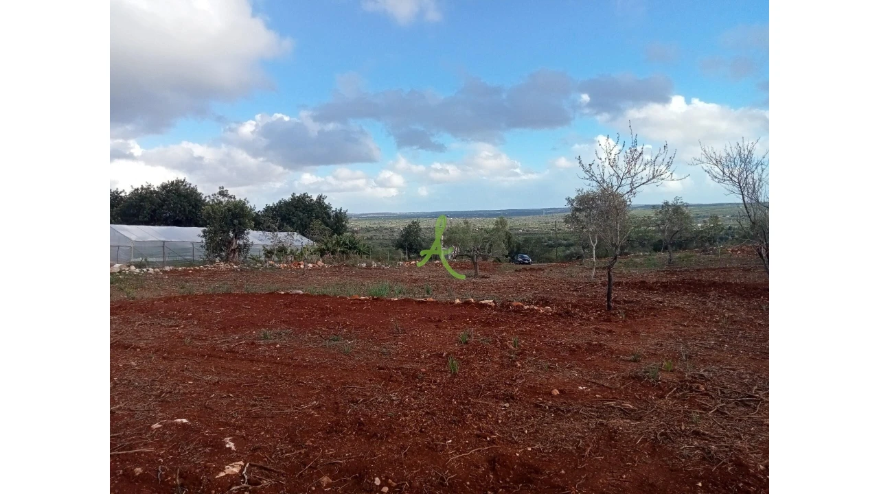 Terreno para Venda em São Bartolomeu de Messines Foto 4