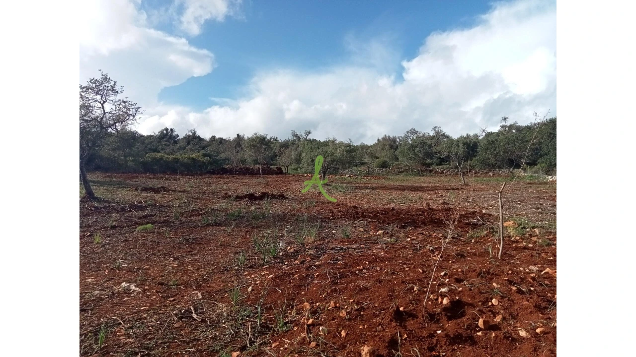 Terreno para Venda em São Bartolomeu de Messines Foto 1