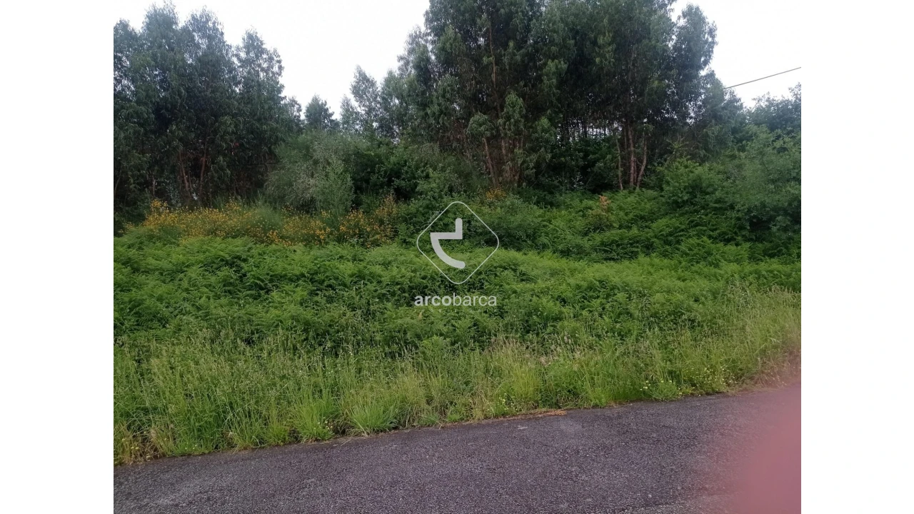 Terreno para Venda em Ganfei Foto 5