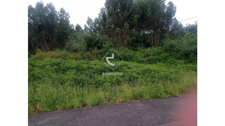 Terreno para Venda em Ganfei Foto 5