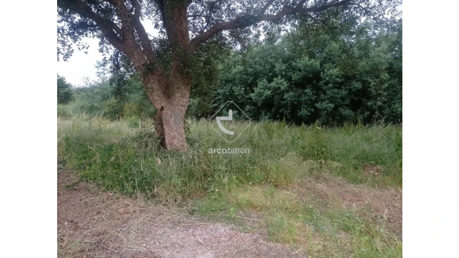 Terreno para Venda em Ganfei Foto 4
