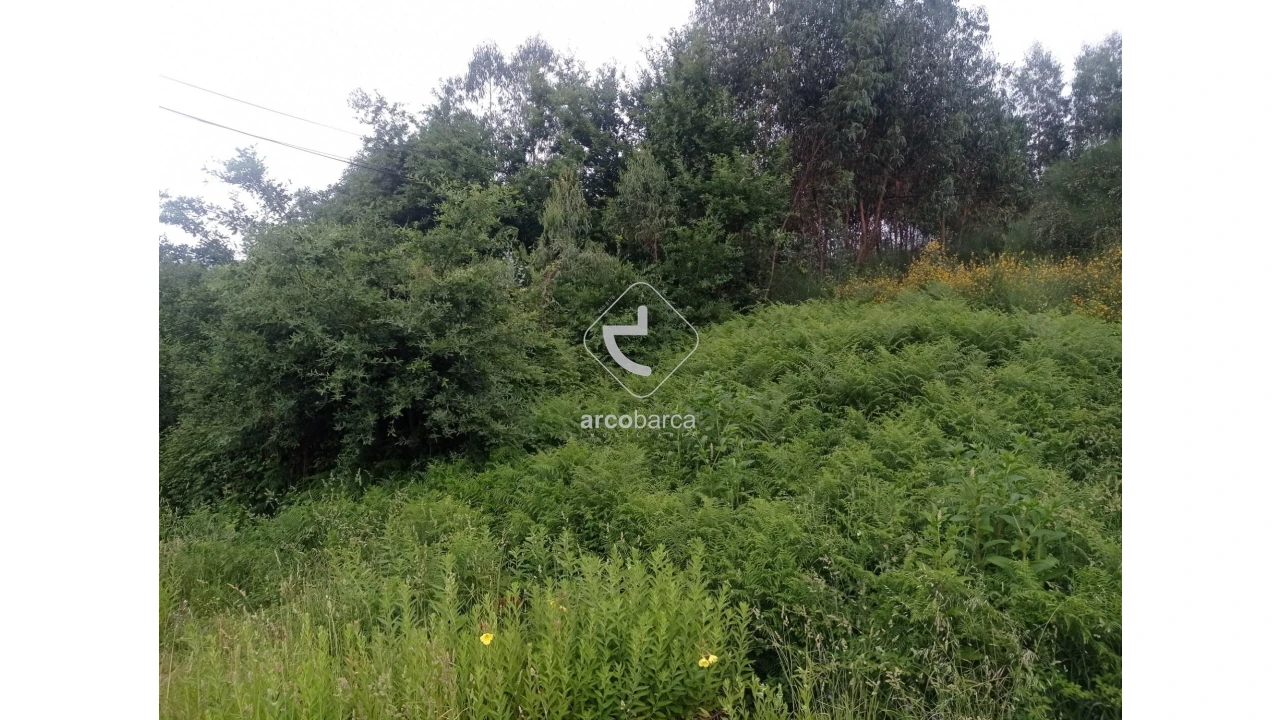 Terreno para Venda em Ganfei Foto 3