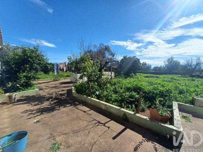 Moradia T3 para Venda em Rio de Moinhos Foto 17