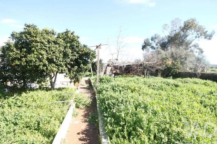 Moradia T3 para Venda em Rio de Moinhos Foto 21