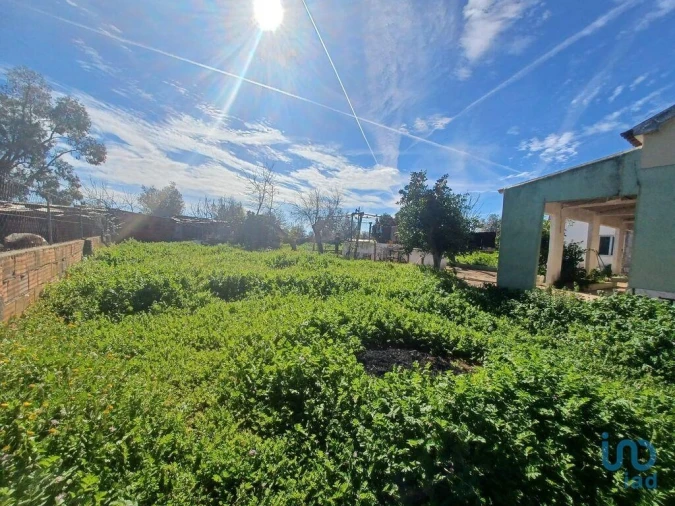 Moradia T3 para Venda em Rio de Moinhos Foto 7