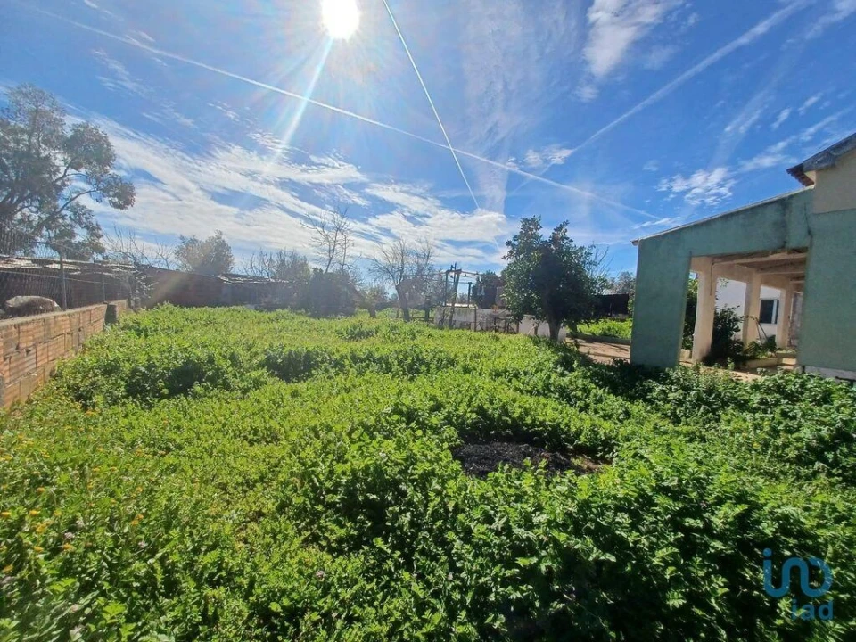 Moradia T3 para Venda em Rio de Moinhos Foto 7