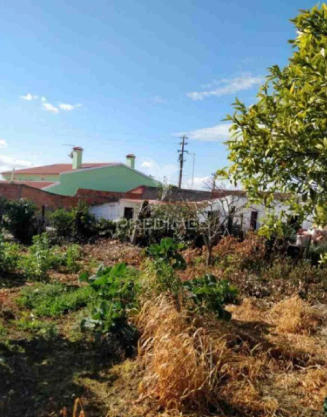 Garagem para Venda em Achete, Azoia de Baixo e Póvoa de Santarém Foto 5