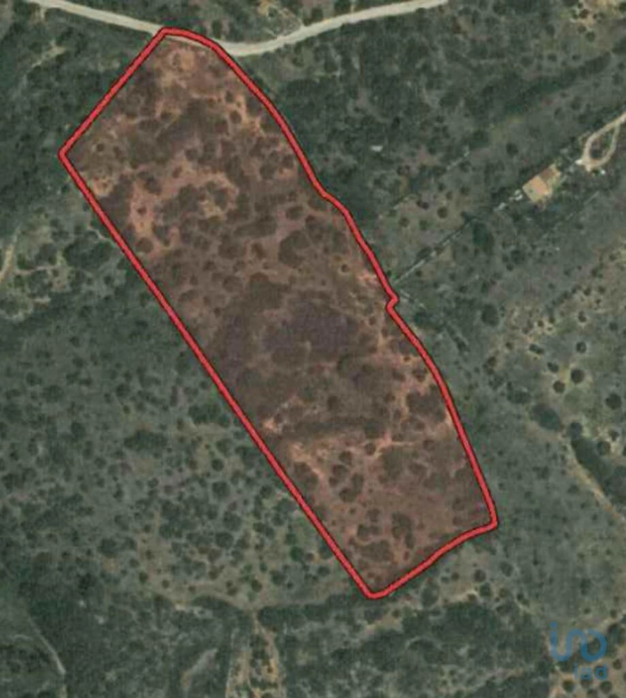 Terreno para Venda em Barão de São Miguel Foto 6