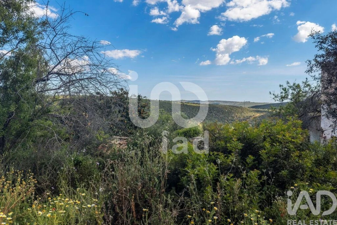 Moradia T2 para Venda em Alte Foto 25
