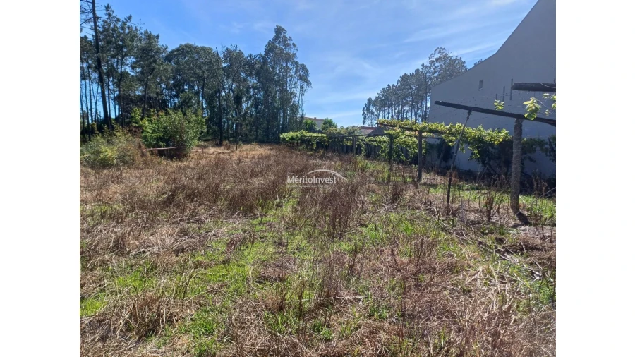 Terreno para Venda em Cristelo Foto 3