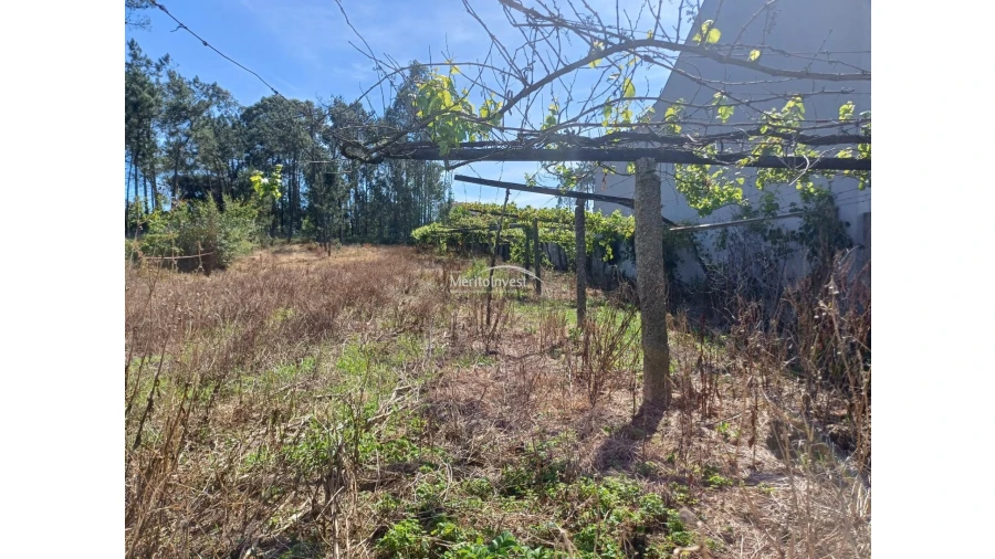 Terreno para Venda em Cristelo Foto 8