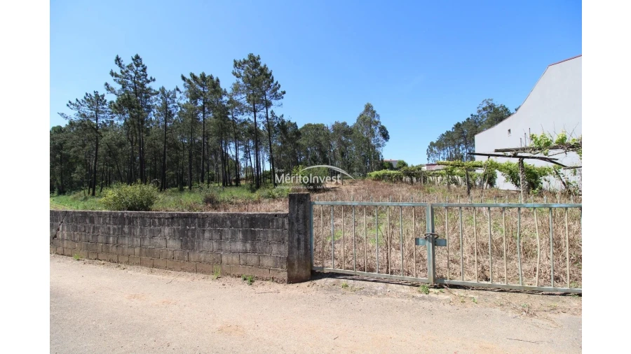 Terreno para Venda em Cristelo Foto 11