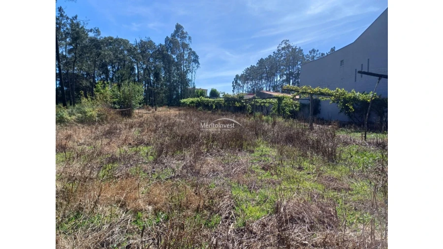 Terreno para Venda em Cristelo Foto 1