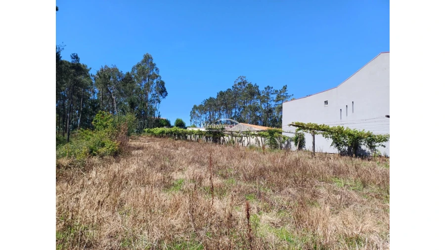Terreno para Venda em Cristelo Foto 4