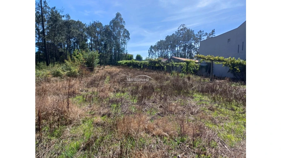 Terreno para Venda em Cristelo Foto 7