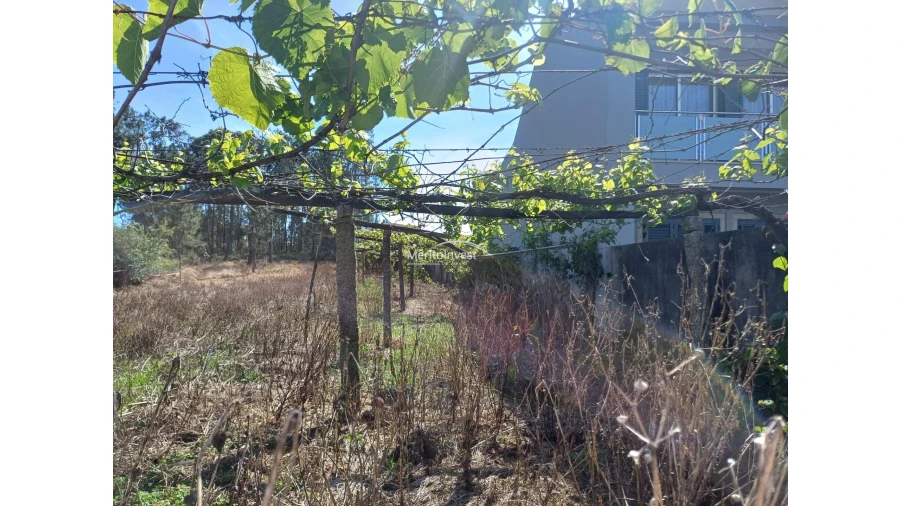 Terreno para Venda em Cristelo Foto 2