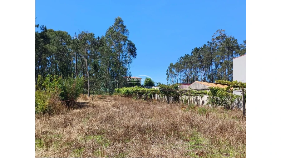 Terreno para Venda em Cristelo Foto 5