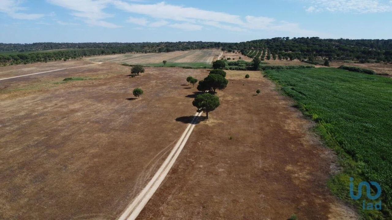 Moradia T3 para Venda em Couço Foto 12