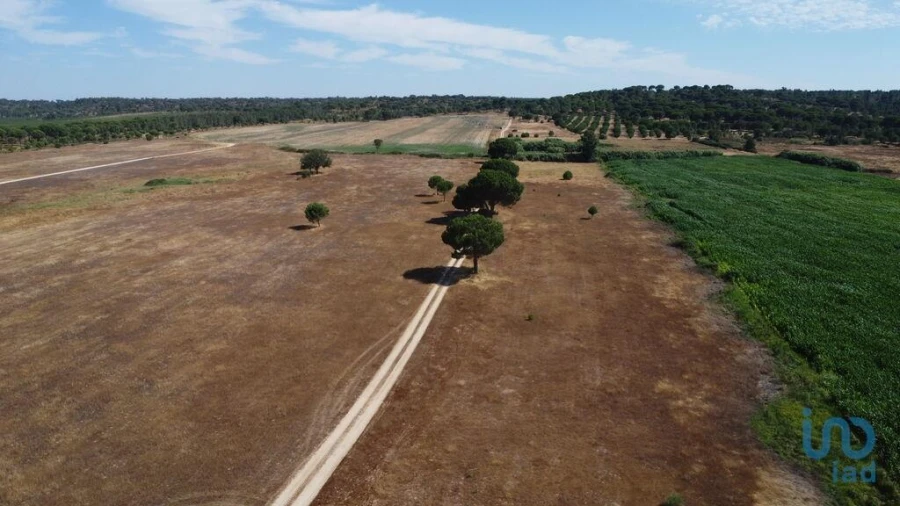 Moradia T3 para Venda em Couço Foto 12