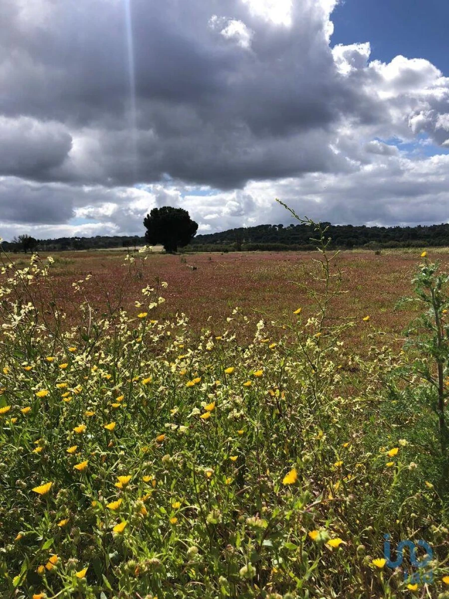 Moradia T3 para Venda em Couço Foto 10