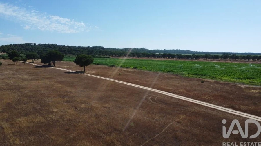 Moradia T3 para Venda em Couço Foto 17