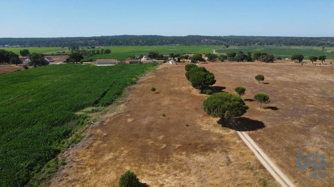 Moradia T3 para Venda em Couço Foto 13