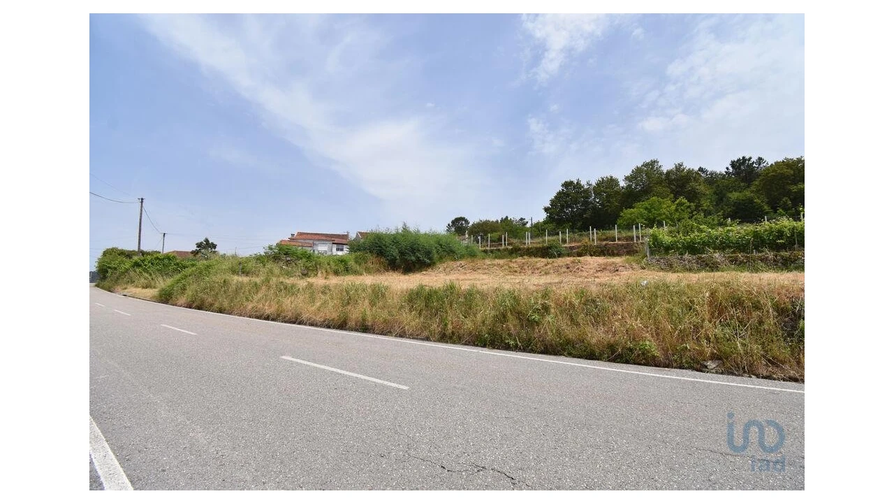 Terreno para Venda em Vila Nova Foto 14