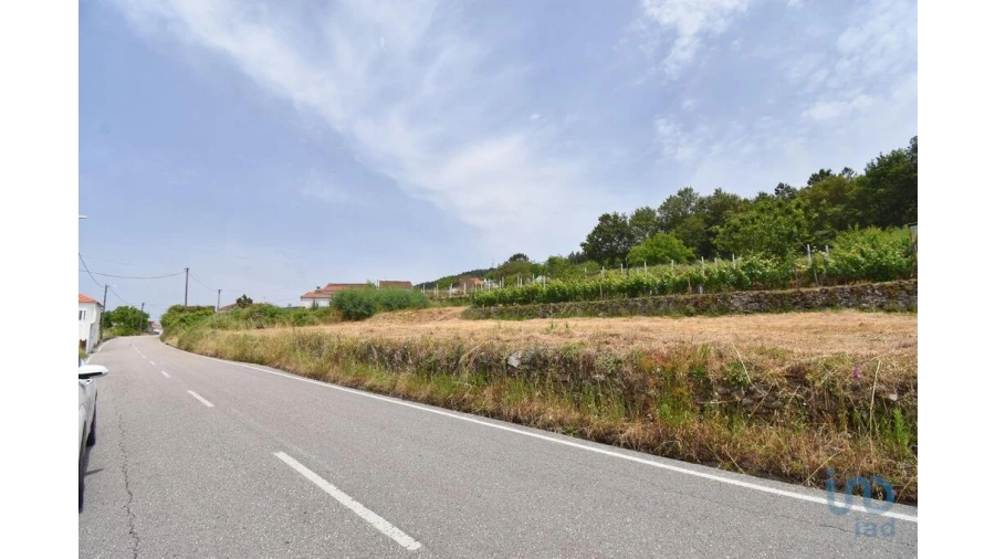 Terreno para Venda em Vila Nova Foto 7