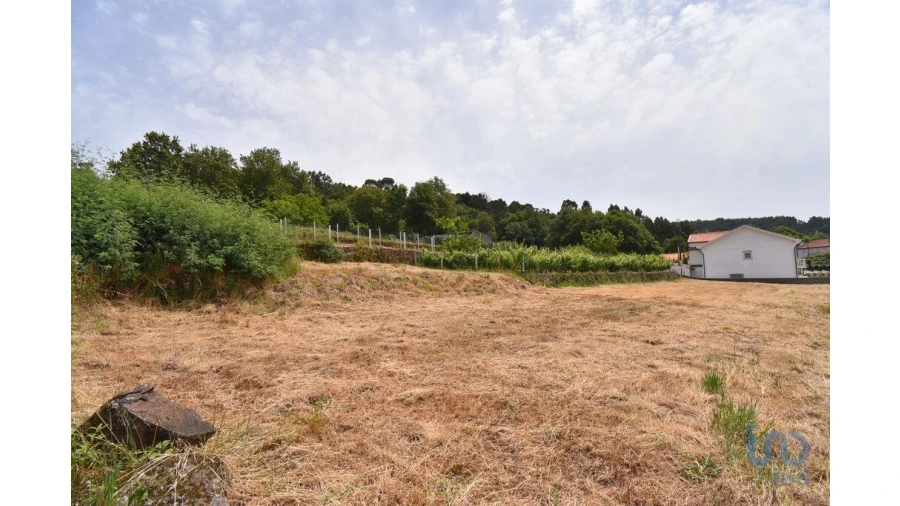 Terreno para Venda em Vila Nova Foto 10