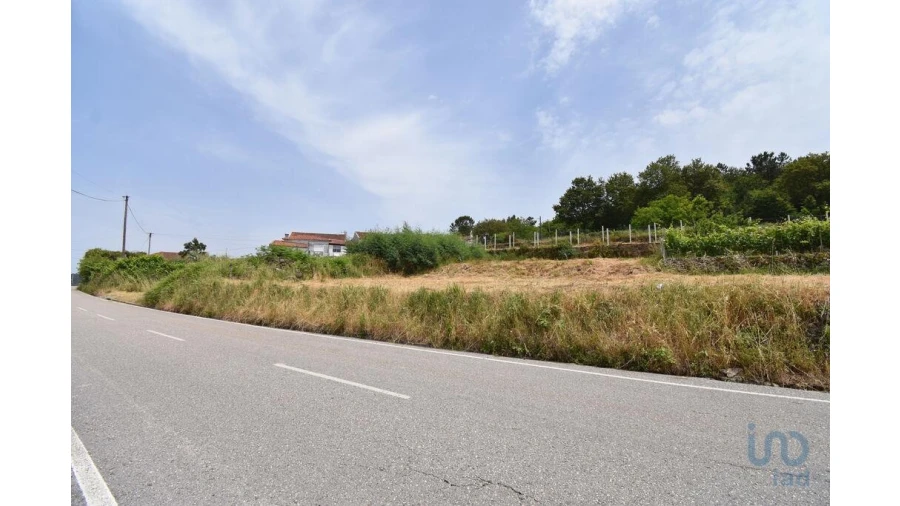 Terreno para Venda em Vila Nova Foto 14