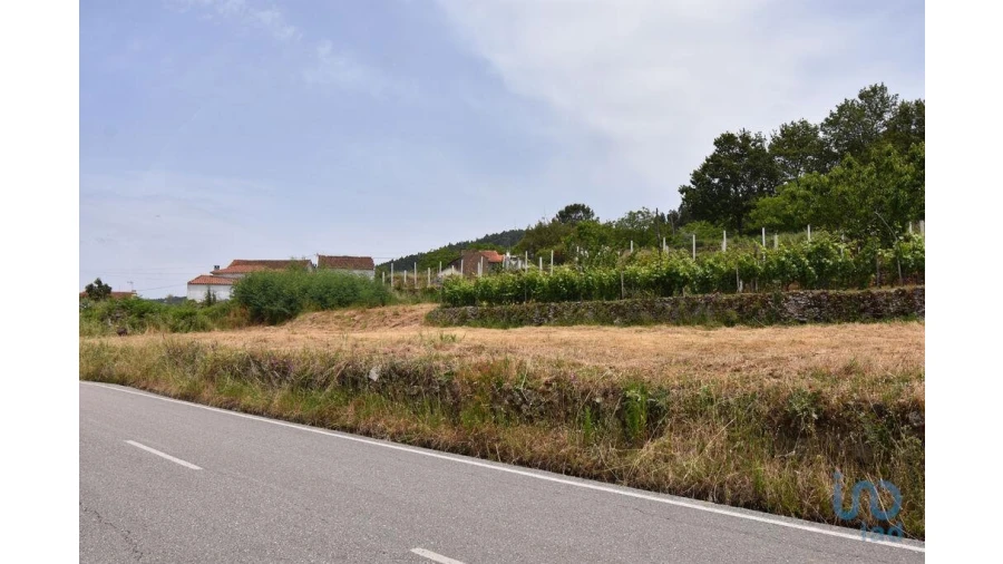 Terreno para Venda em Vila Nova Foto 8